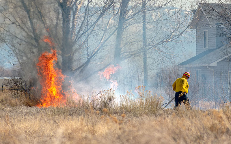 fire zone img 1